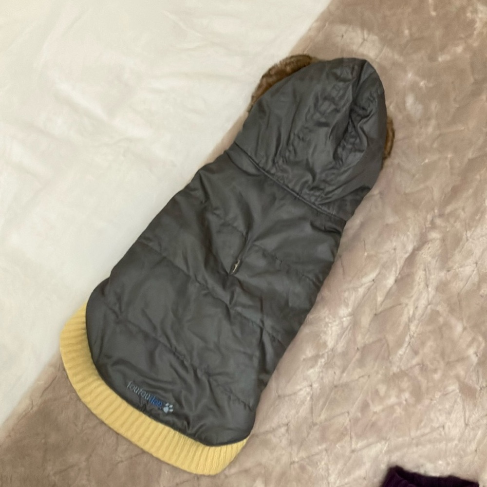 Gray Hooded Dog Jacket with Yellow Trim
